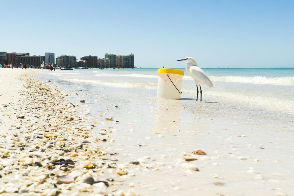 jw marriott marco island
