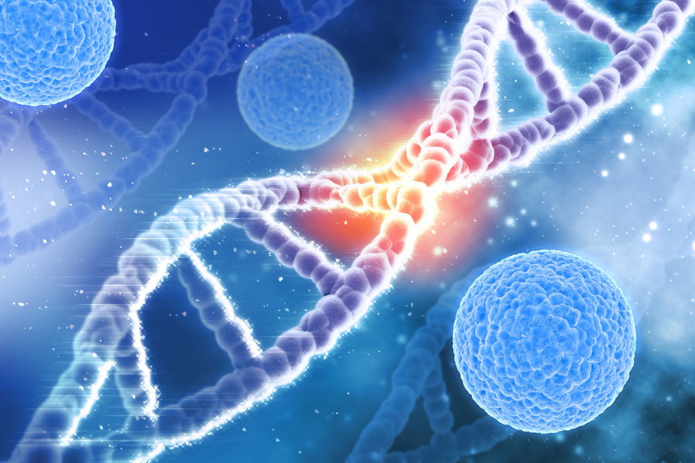 The Impact of Genetics on Vascular Health Impact of Genetics on Vascular Health