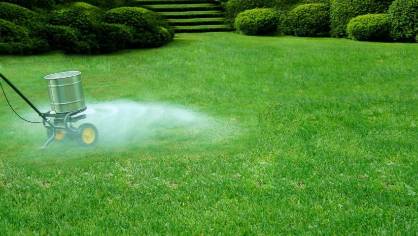 Understanding Your Lawn’s Needs and Getting Help From Lawn Care Service Lawn Care Service